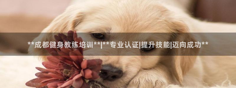 龙八国际官网下载