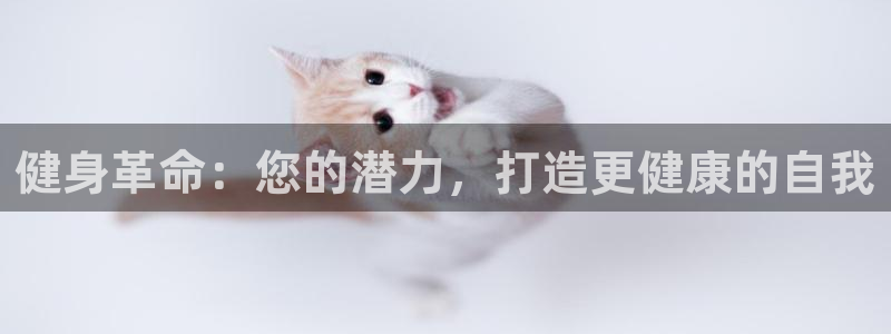 龙8国际的官网