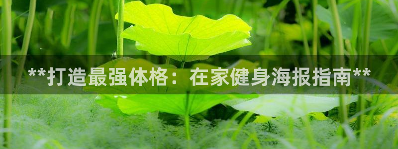 龙8游戏官方网站s