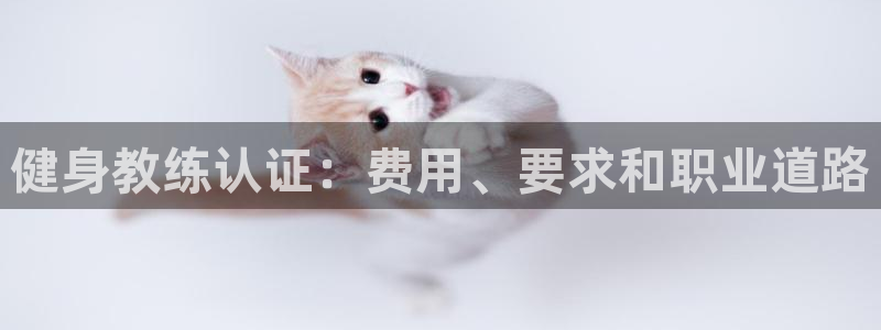 龙8国际线上