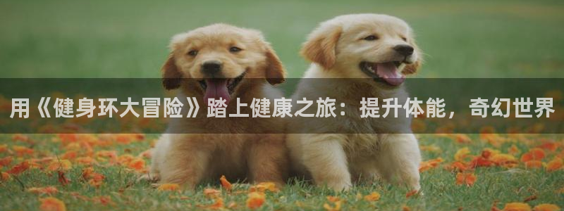 龙8-龙国际-long8-龙8游戏