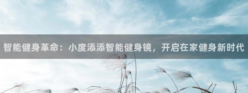 龙8国际网址多少
