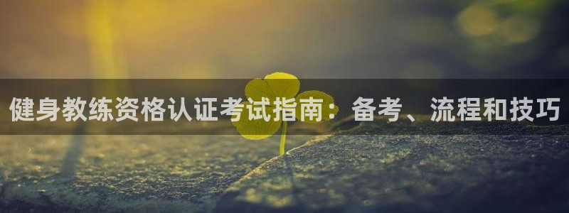 龙8国际游戏公司官网