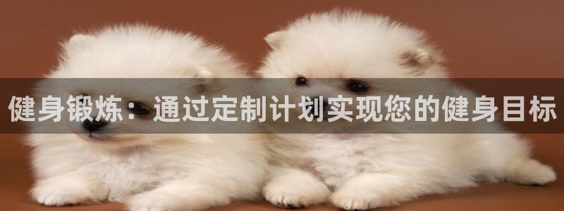 龙8国际网站怎么样