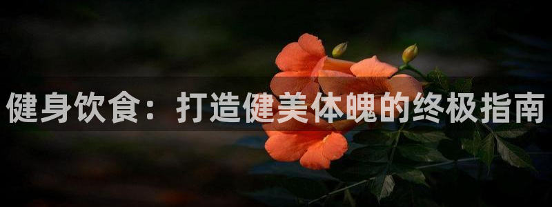 龙8国际网页版下载