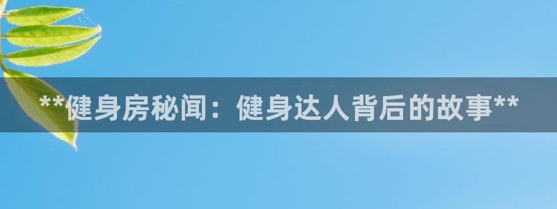 龙八国际pt