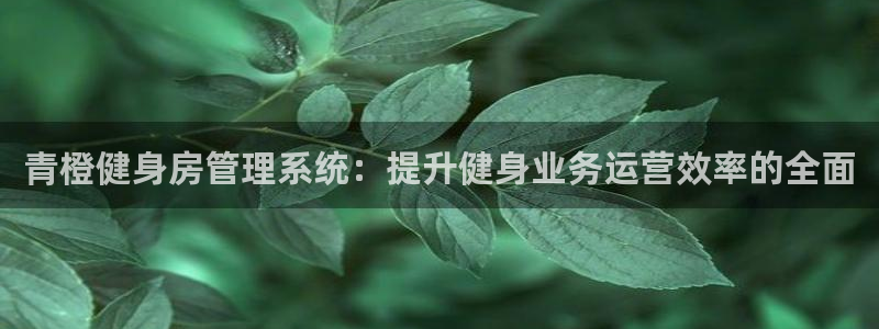 龙8国际棋牌