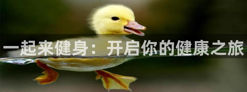 龙8国际电子平台
