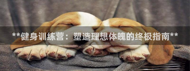 国际龙8官网pt客户端
