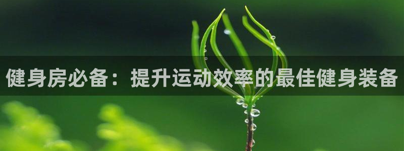 龙8国际真钱