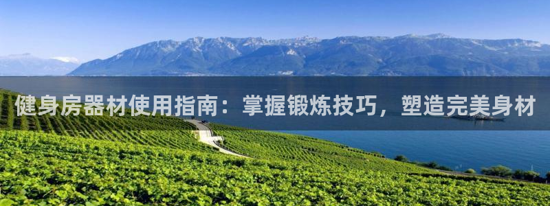 龙八国际下载官网平台