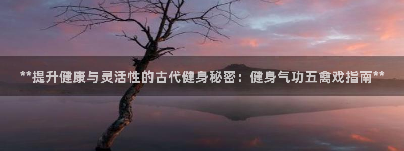 龙8国际登陆