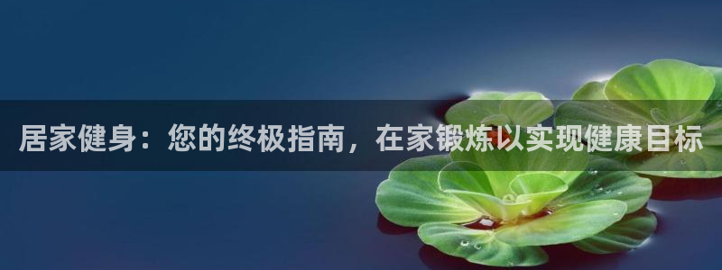龙8国际ing