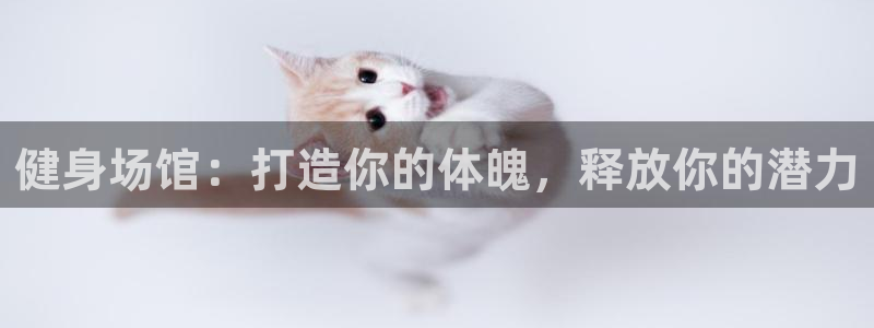龙八国际服官网入口