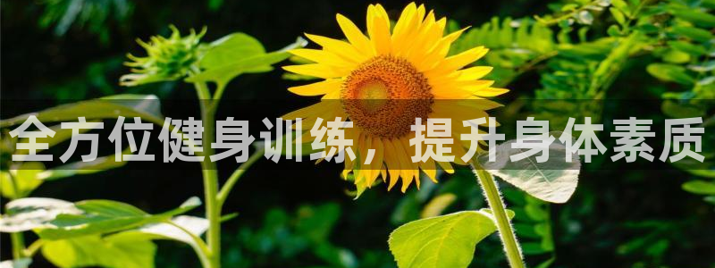 龙8国际老虎机游戏