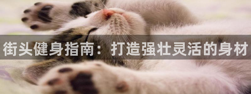 龙8官网正版