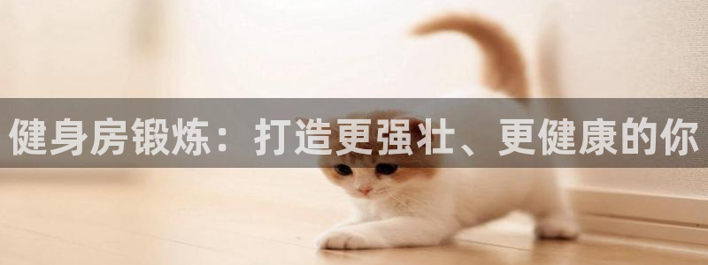 龙八棋牌