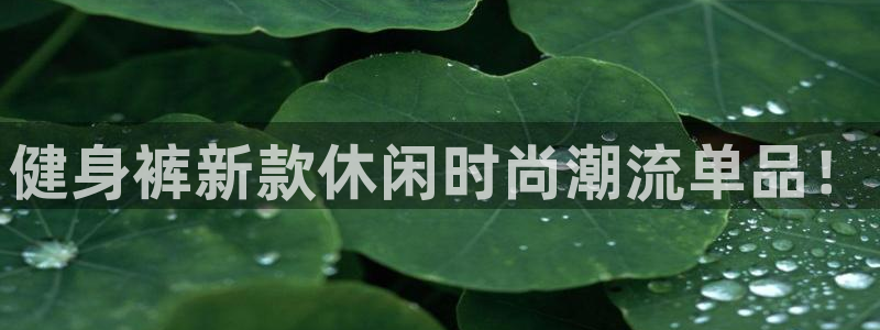 龙8老虎机网络游戏
