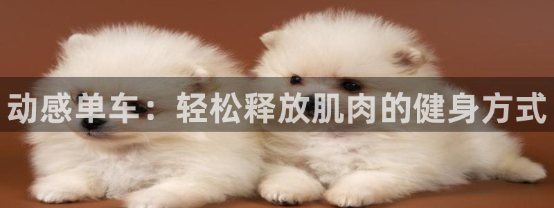 龙8国际在线