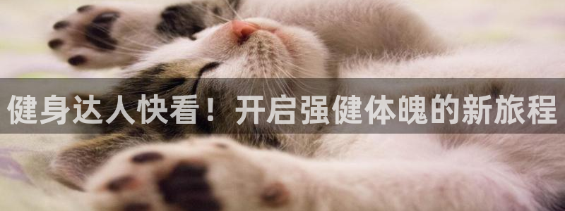 龙8国际app下载客户端