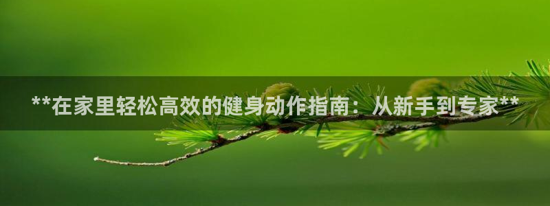龙8 国际