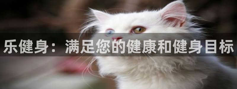 龙8国际手机官网下载