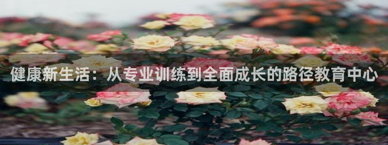 龙8国际游戏官方进入的介绍