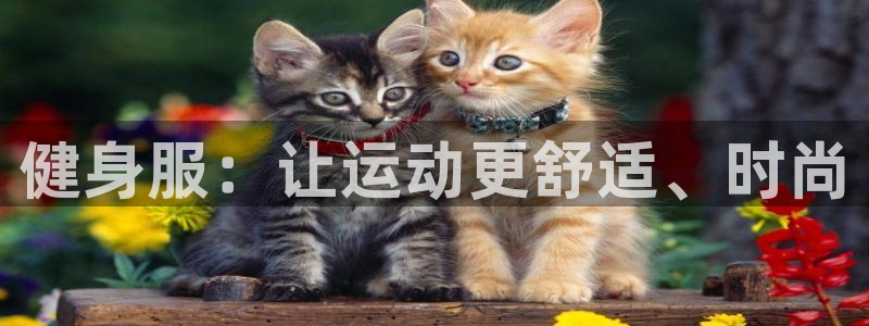 龙8国际.apk