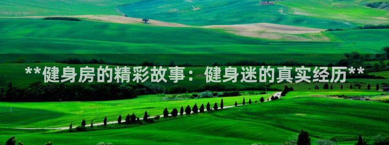 龙八国际网页