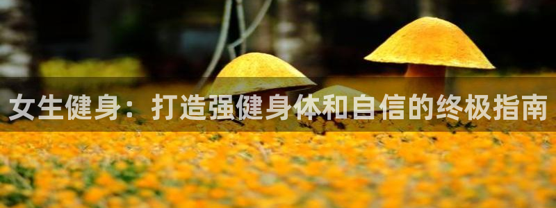 龙8棋牌平台