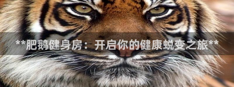 龙8国际老虎机官网