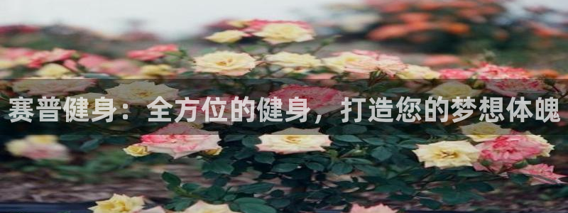 龙8国际官方网站手机版下载