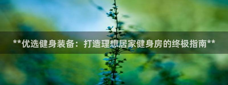 龙8国际安卓版