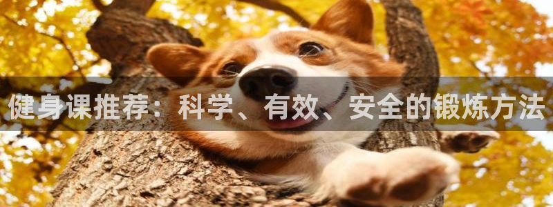 龙8国际官方网站苹果版
