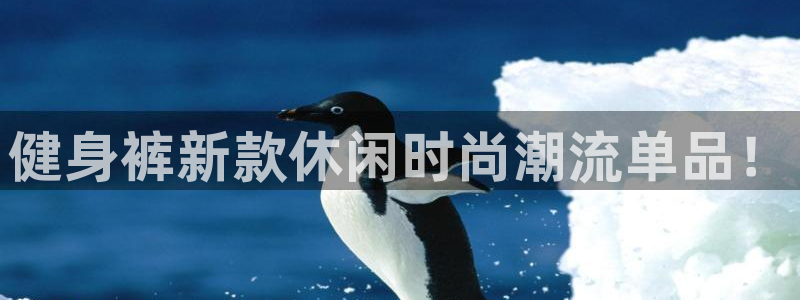 龙8国际手机网页版