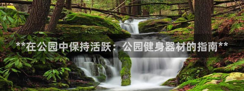 龙八棋牌