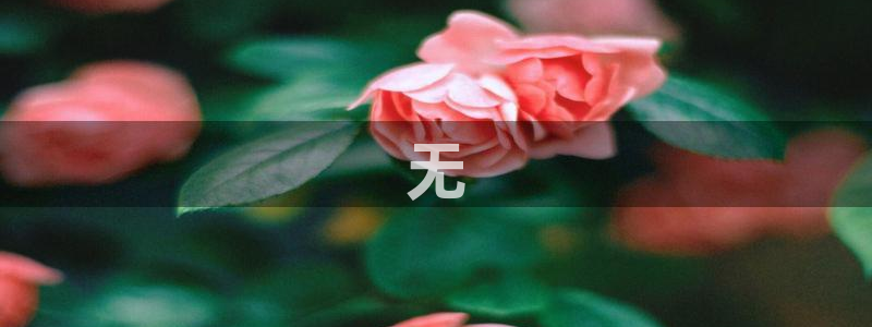 龙8游戏平台的网站
