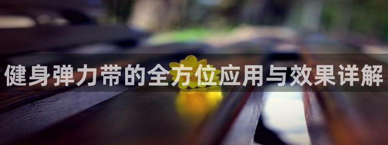 国际龙8hk