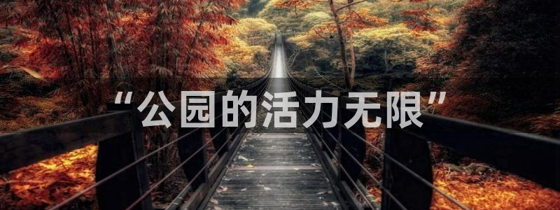 龙8国际long88
