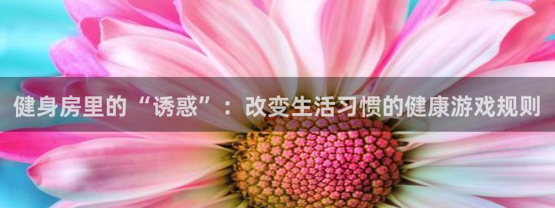 龙8游戏官方网站s
