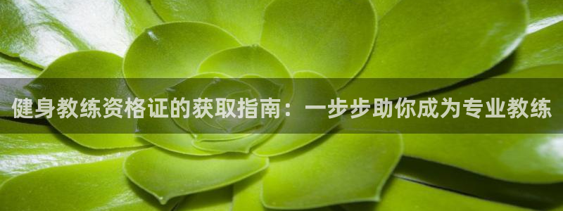 龙8游戏平台官方网站是多少