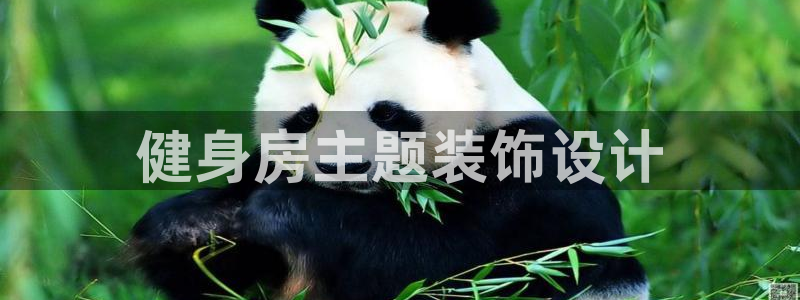 龙八棋牌