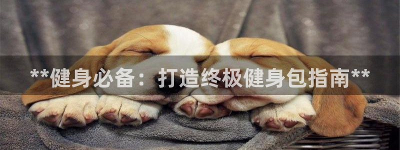龙8电子游戏_首页