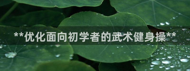 龙8国际-我的