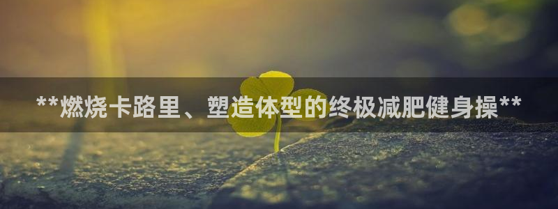 龙8国际开户