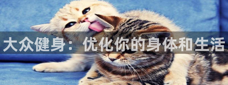 龙8电子游艺网址多少