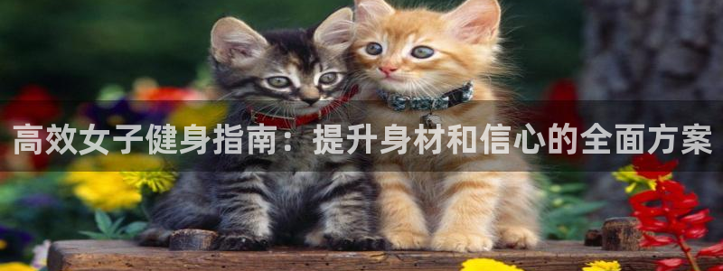 龙8国际手机版官网下载