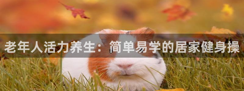 龙8国际登入
