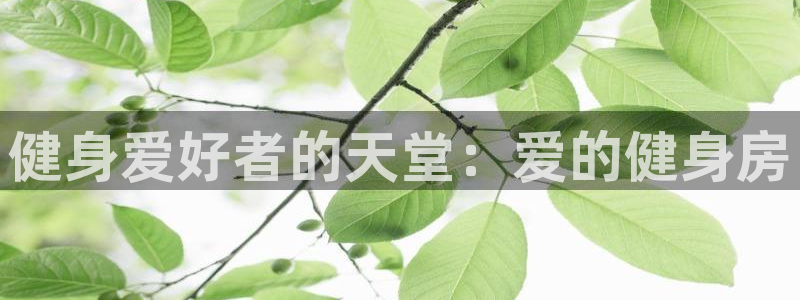 龙8国际电子平台