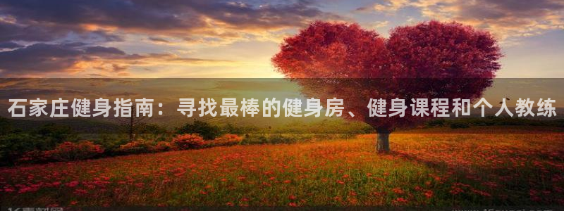 龙8国际被侦破了吗